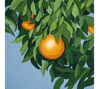 Tyler Ballgame - For The First Time, Again (Orange / White Vinyl) (LP) (Ltd) [Analog] [Vinyl LP]