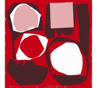 <![CDATA[Various Artists - Mr Bongo Record Club Volume Five (2 LP)]]>