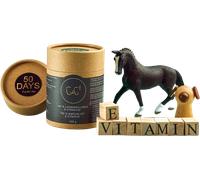 CdGE - Natural Vitamin E Powder - 100 g Chia de Gracia