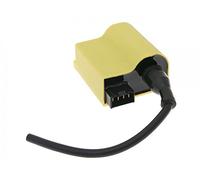CDI de Encendido Caja con Bobina para Suzuki Katana Estilette, Zillion