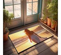 CDSS Divertidos felpudos para entrada al aire libre, atardecer, serenidad: un paseo en la playa, felpudo de luz suave, felpudo divertido para porche de otoño (65 x 90 cm)