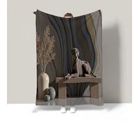 CDXNORA Manta de Franela Gris, Mullida Suave y Cálida Perro Banco Manta, Reversible Ligera Multiusos Arte Minimalista Moderno Mantas para Sofa o Cama Casa Mascotas 220x240 cm