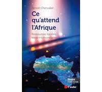 Ce qu'attend l'Afrique: Ressources locales, tensions mondiales