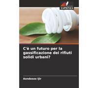 C'è un futuro per la gassificazione dei rifiuti solidi urbani?