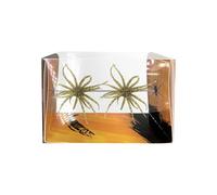 Cebo para Erizos y Lubinas 2 Piezas de Cebo Realista Flotante de Silicona