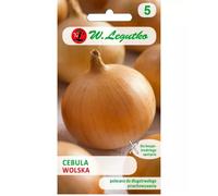 Cebolla Wolska: cáscara amarillo pajizo, tardía.