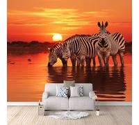 Cebra Papel Pintado 500×280cm Animales Del Río Sunset Cebra Papel Pintado Fotomurales Pared Tejido No Tejido Decorativos Murales Fotográfico Moderno Decoración de Paredes
