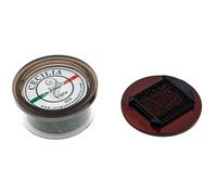 Cecilia Viola Rosin A Piacere