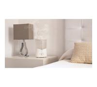 Cecotec Humidificador BreezeCare 3000. Depósito 5,5 litros, Humidificación 330 ml/h, Filtro cerámico, Autonomía hasta 24h, 3 Velocidades, Temporizador, Cobertura hasta 30 m2