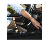 Cecotec Conga Immortal Extreme Suction 22,2 Animal Hand aspiradora de mano Negro Sin bolsa