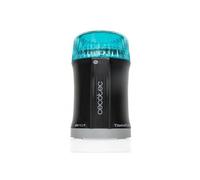 Cecotec Molinillo de Café y Especias TitanMill 200, Compacto, 200 W, Cuchillas recubiertas de Titanio, Capacidad de 50 gr, 10 Tazas de Café, Recipiente de acero cepillado, Sin tóxicos