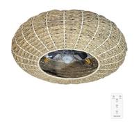 Ventilador De Techo Con Luz Energysilence Lampaero 650 Natural Wicker Cecotec