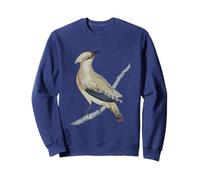 Cedar Waxwing Bird Hermosa Ornitología Sudadera