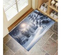 CEDNXOER Alfombra de Pelo Corto Blanco, Felpudo de Entrada Absorbente Invierno Plantas Navidad, Interior Alfombra Antideslizante Nieve Bosque, Tapete para Puerta Lavable a Máquina, 40 x 60 cm
