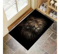 CEDNXOER Felpudo Interior 60 x 90 cm, Alfombra Atrapapolvo Antideslizante Negro, Alfombra Lavable en Lavadora Animales Salvajes, Felpudo de Entrada Viejo León para Entrada