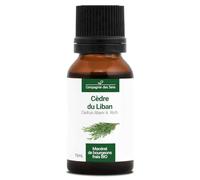 Cedro del Líbano BIO - 15mL - (Cedrus libani) - Macerado concentrado de yemas frescas