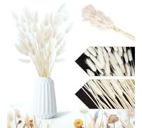 Ceeyoll Pampas Secas Decoracion 60 Piezas Blanco de Flores Seca Naturales Decoración , Hierba de Pampa Esponjosas para Decoracion Boho Fiestas Bodas,Arreglos Florales Decoración del Hogar.