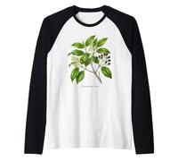 Ceilán Canela Planta ilustración Cinnamomum verum Camiseta Manga Raglan