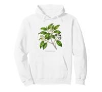 Ceilán Canela Planta ilustración Cinnamomum verum Sudadera con Capucha