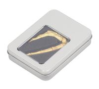 Cejilla para Guitarra, Perilla de Calavera, Diseño de Bloqueo, Silicona Suave, Cejilla de Aleación de Zinc de Primera Calidad, Cambia el Tono para Guitarras Eléctricas Acústicas