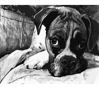 Cekog Perro negro Pintar por Numeros Adultos - Pintar con Pinceles y Pinturas Acrílicas Kit de Lienzo Cuadros por Numeros Para Pintar Pared del Hogar Decoración - 45x60cm con Marco