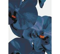 Cekog Pintar por Numeros Adultos - Pintar con Pinceles y Pinturas Acrílicas,Niño Paint by Numbers Kit,Lienzo Cuadros por Numeros para Pintar,Hogar Pared Decor - orquídeas azules 40x50cm,con Marco