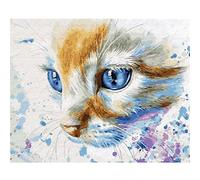 Cekog Pintar por Numeros Adultos - Pintura por NúMeros Con Pinceles y Pinturas Decoraciones,Paint by Numbers Kit,Cuadros por Numeros Lienzo Pintura con Numeros - gato de ojos azules 40x50cm sin Marco