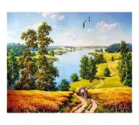 Cekog Pintar por Numeros para adultos,Camino rural DIY Paint by numbers,Pintura por Números para Adultos Niños con Pinceles Acrílico Pigment Painting Decoraciones para el Hogar(sin Marco) 60x75cm