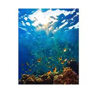 Cekog Pintar por Numeros para adultos,Mundo submarino DIY Paint by numbers,Pintura por Números para Adultos Niños con Pinceles Acrílico Pigment Painting Decoraciones para el Hogar(sin Marco) 60x75cm