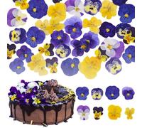 Celblisora 40 Piezas 8 Tipos de Flores Naturales secas, prensadas, comestibles para decoración de Pasteles - Mezcla de Viola Tricolor para cócteles, Manualidades DIY