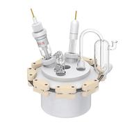 Celda electrolítica tradicional de cinco puertos de PTFE de 150 ml for experimentos de electrólisis