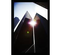 CELESTIAL ARCHITECT: Xenoforming the Soul and the Intergalactic Biology of Faith