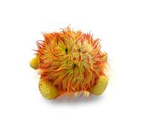 Celestial Buddies El Sol