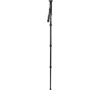 Celestron 82053 Hummingbird Monopod: una Plataforma Estable para su catalejo, Sus prismáticos o su cámara