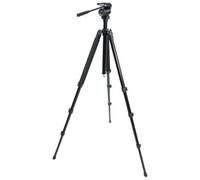 Celestron Trípode TrailSeeker con cabezal panorámico fluido de 2 direcciones