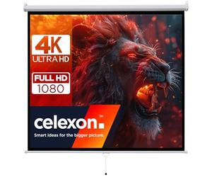 celexon Basic Cine en casa y Negocios Pantalla Enrollable Manual - fácil instalación y Funcionamiento - 240 x 240 cm - 134" - 1:1