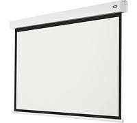 celexon Batterie Leinwand V2.0 Motor Professional Plus 200 x 150 cm