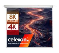 celexon pantalla motorizada Expert 250 x 250 cm