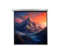 Celexon Pantalla de Proyeccion Manual Mural Profesional Plus 220 x 220 cm