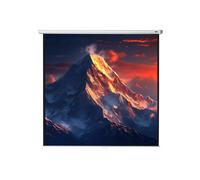 celexon pantalla manual mural Básica 280 x 280 cm - 156"