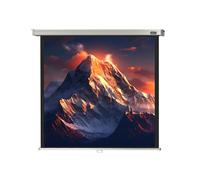 celexon pantalla manual mural Profesional 240 x 240 cm - 134"