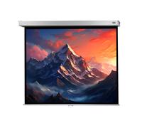celexon pantalla manual mural Profesional Plus 220 x 165 cm - 108"