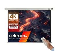 celexon Pantalla motorizada Incluido Mando a Distancia para Escuela, proyección, presentación y Cine en casa Profesional - 280 x 210 cm - 4:3
