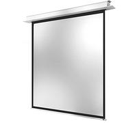 celexon Pantalla para Escuela, proyección, presentación y Cine en casa empotrable motorizada Profesional Plus hasta 4K - 200 x 200 cm - 1:1