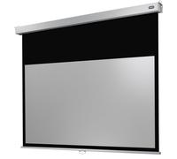celexon pantalla manual mural Profesional Plus 220 x 137 cm - 102"