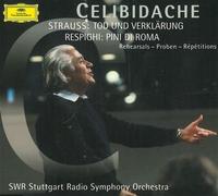 Celibidache - Rehearsals Morte e trasfigurazione op 24 (Tod und Verklarung) Pini di Roma (1924)