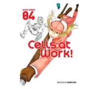 cells at work! 4