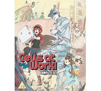 Cells At Work Collection (2 Blu-Ray) [Edizione: Regno Unito] [Blu-ray]