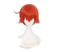 Cells at Work Red Blood Cell Short Cosplay Wig Synthetic Hair Halloween Costume Party Play Wigs For Women Adult