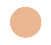 11g SENSAI CELLULAR PERFORMANCE Total Finish Foundation